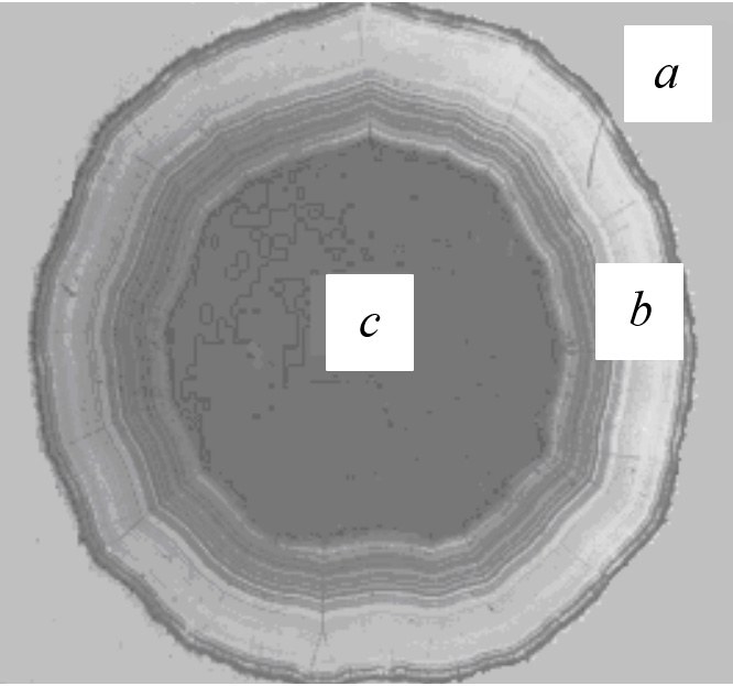Cooled blade cavity coating cross-section